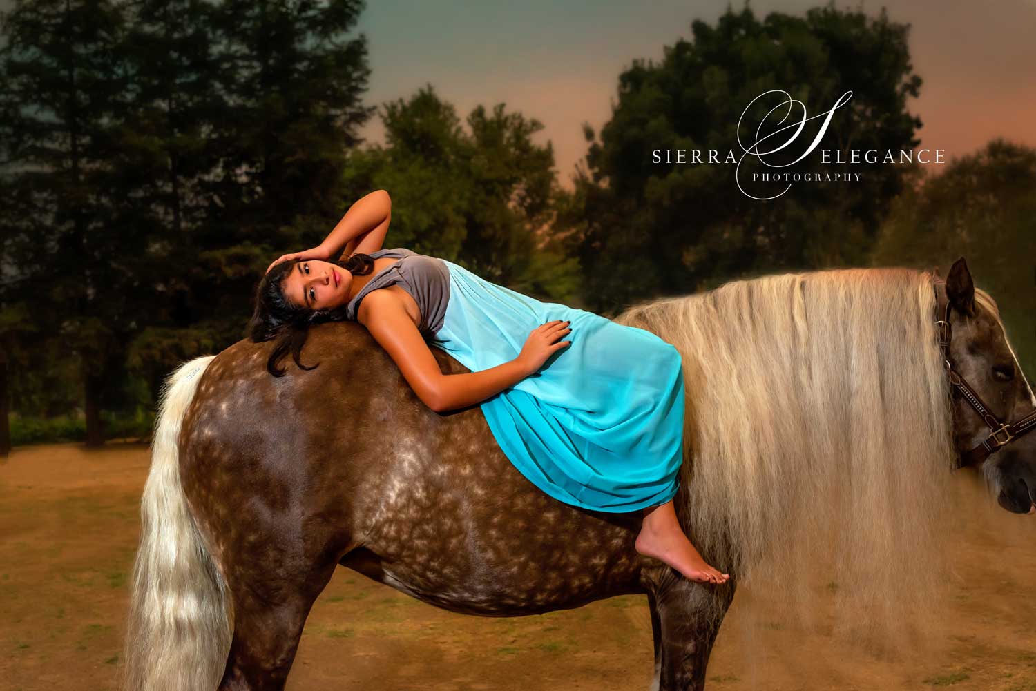 Young teen girl with Gypsy Horse